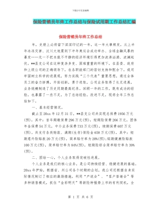 保险营销员年终工作总结与保险试用期工作总结汇编