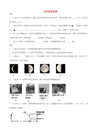 中考物理复习必备2 光现象 人教新课标版试卷