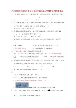 九年级化学上学期第11周周末作业 新人教版试卷
