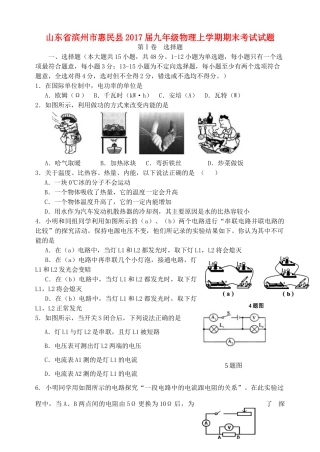 山东省滨州市惠民县九年级物理上学期期末考试试卷