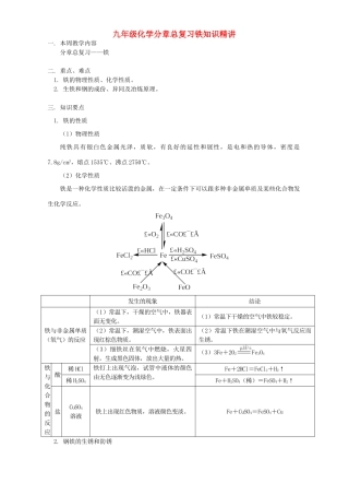 九年级化学分章总复习铁知识精讲 天津版试卷