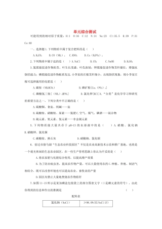 九年级化学下册 第十一单元单元综合测试 人教新课标版试卷
