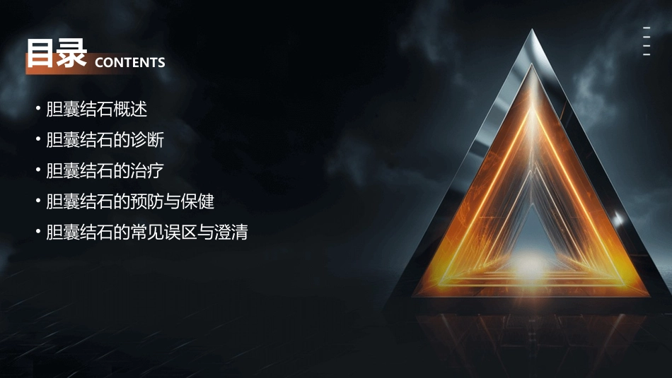 胆囊结石小讲课资料课件_第2页