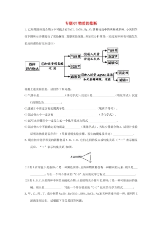 决胜中考化学压轴题揭秘 专题07 物质的推断(预测题，无答案) 试题