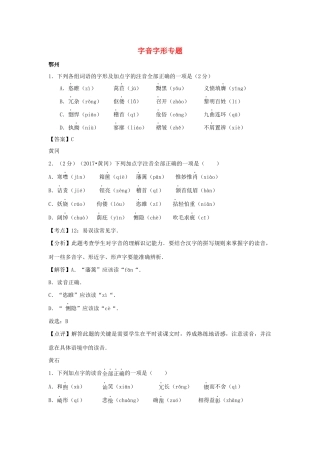 中考语文试卷按考点分类汇编 字音字形专题试卷