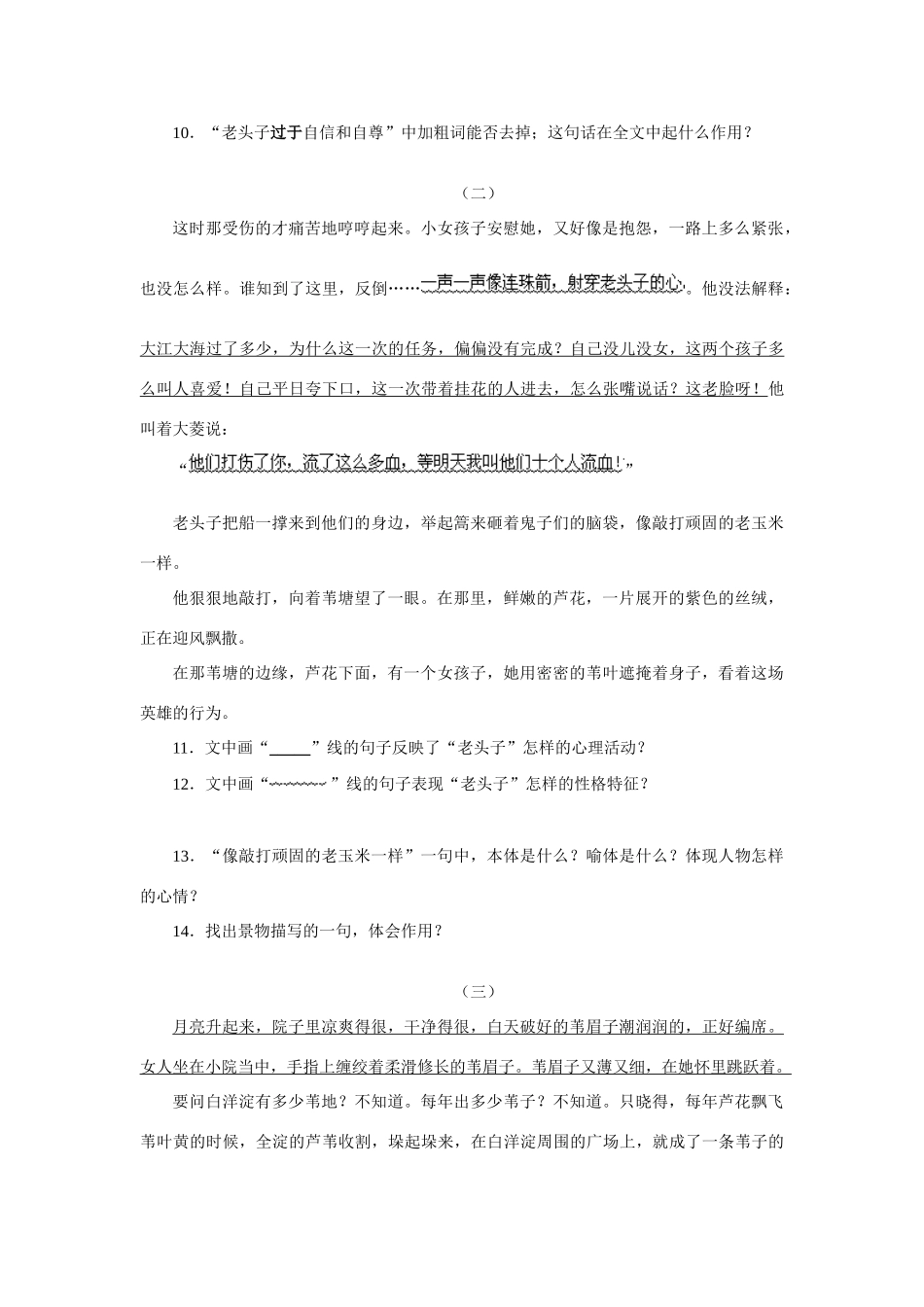 八年级语文芦花荡测试题 人教实验版 试题_第3页