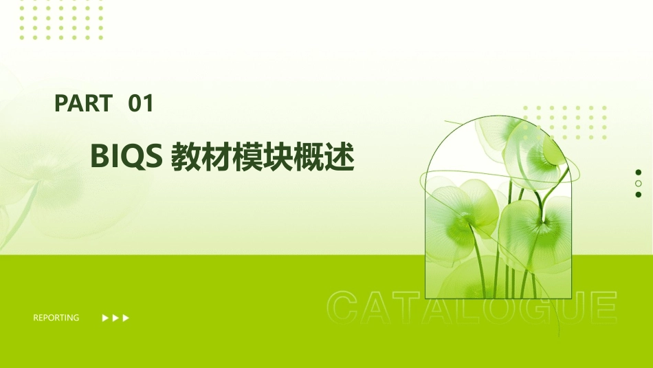 BIQS教材模块介绍护理课件_第3页