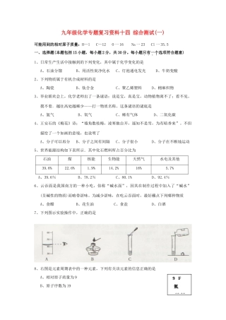 九年级化学专题复习资料十四 综合测试试卷