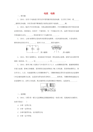 中考物理总复习 电流电路专题考点训练(真题集锦) 新人教版试卷