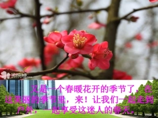 16.和我们一样享受春天课件刘正成