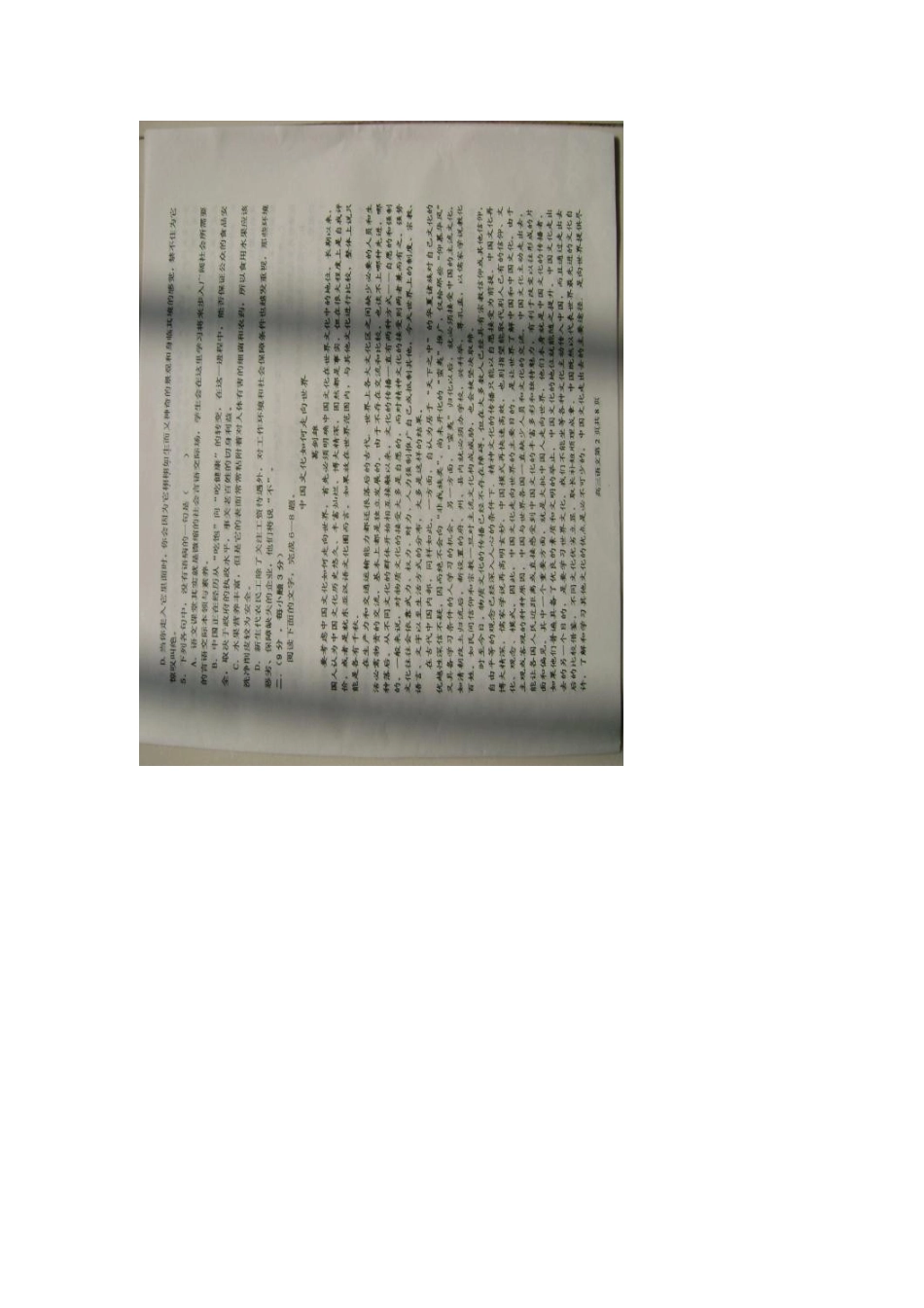 山东省桓台县高三语文上学期期末考试试卷(扫描版)鲁人版试卷_第2页
