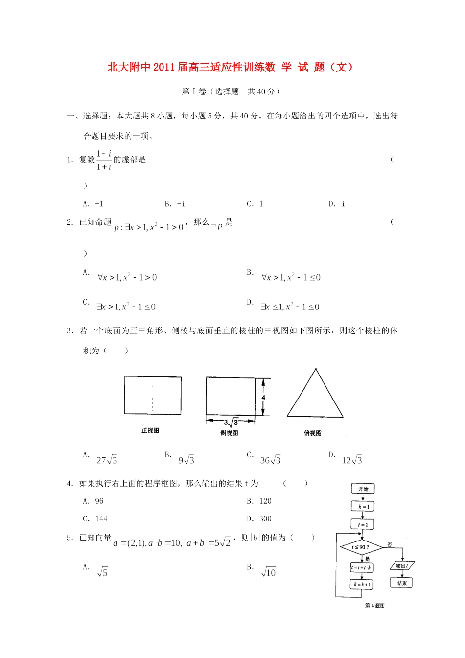 大学附中高三数学适应性训练 文 试卷_第1页