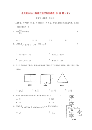 大学附中高三数学适应性训练 文 试卷