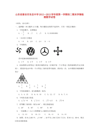 山东省泰安市八年级数学上学期期末学情检测试卷 新人教版试卷