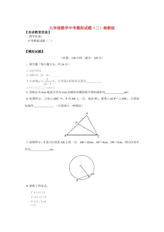 九年级数学中考模拟试卷(二)湘教版试卷