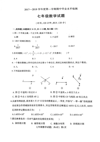 山东省莘县七年级数学上学期期中试卷(pdf) 新人教版试卷