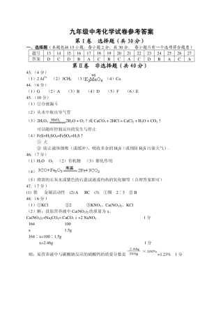 九年级中考全真模考试卷化学模考试卷67-9  参考答案试卷