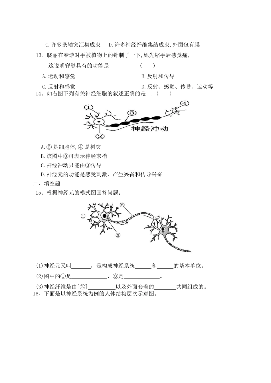 中考生物复习 第六章 人体生命活动的调节测试卷 新人教版试卷_第2页