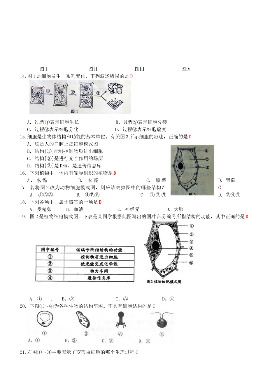 中考生物专项训练-细胞及其生物体的结构试卷_第2页