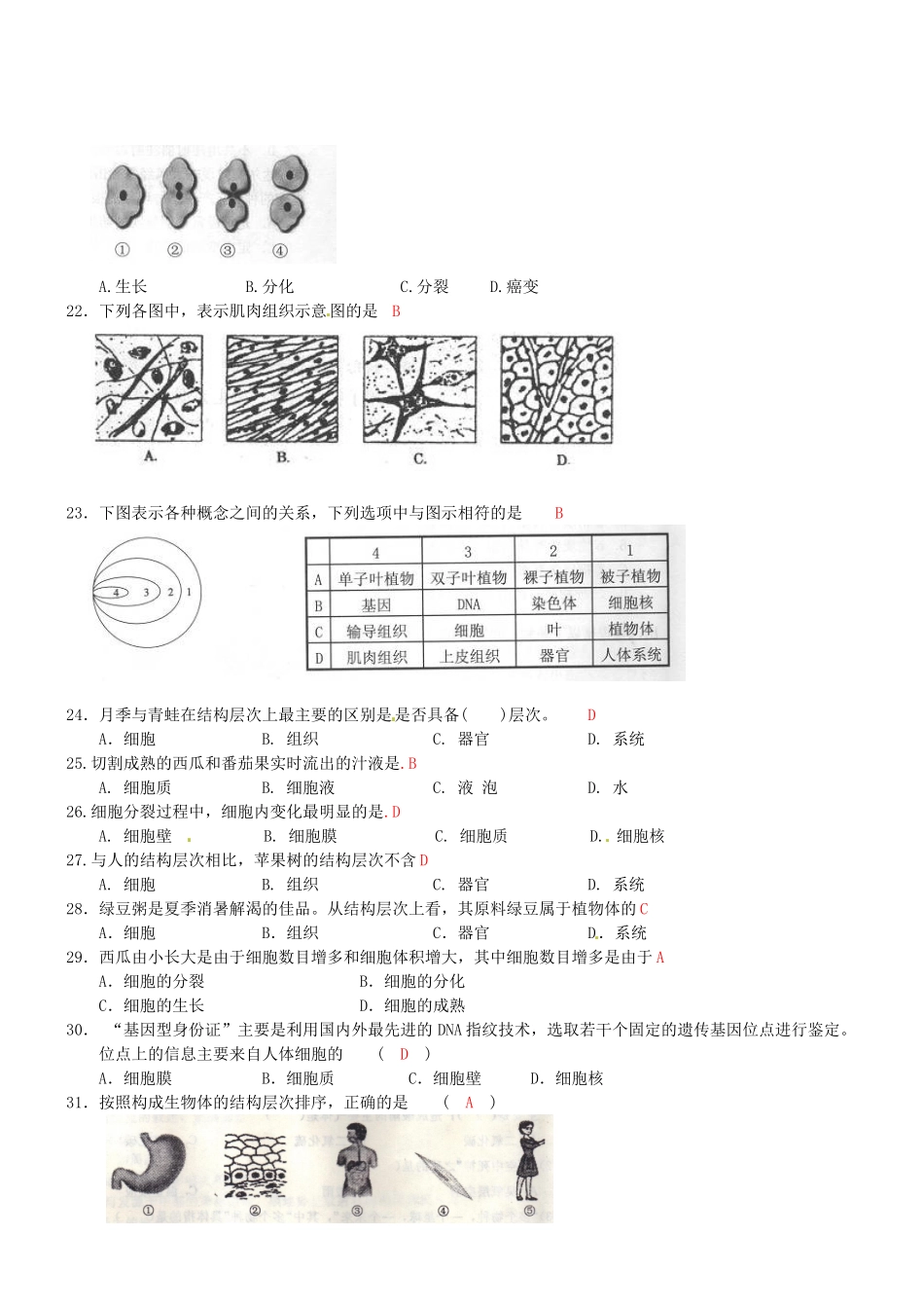 中考生物专项训练-细胞及其生物体的结构试卷_第3页