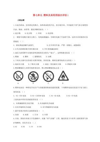 九年级化学上册 第七单元 燃料及其利用综合评估1(新版)新人教版试卷