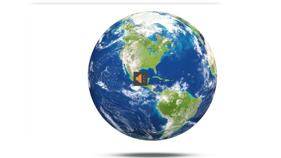 第1节生态系统概述_第1页