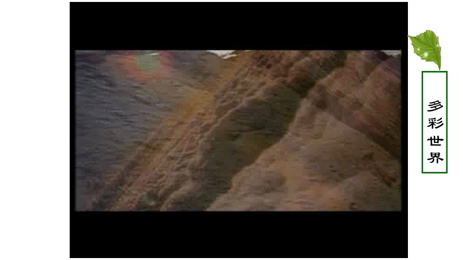 第1节生态系统概述_第2页