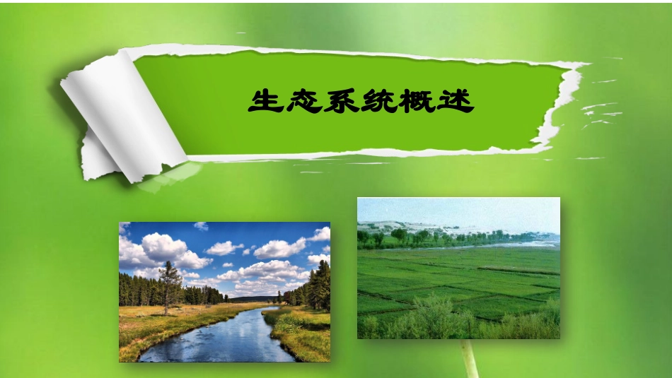 第1节生态系统概述_第3页