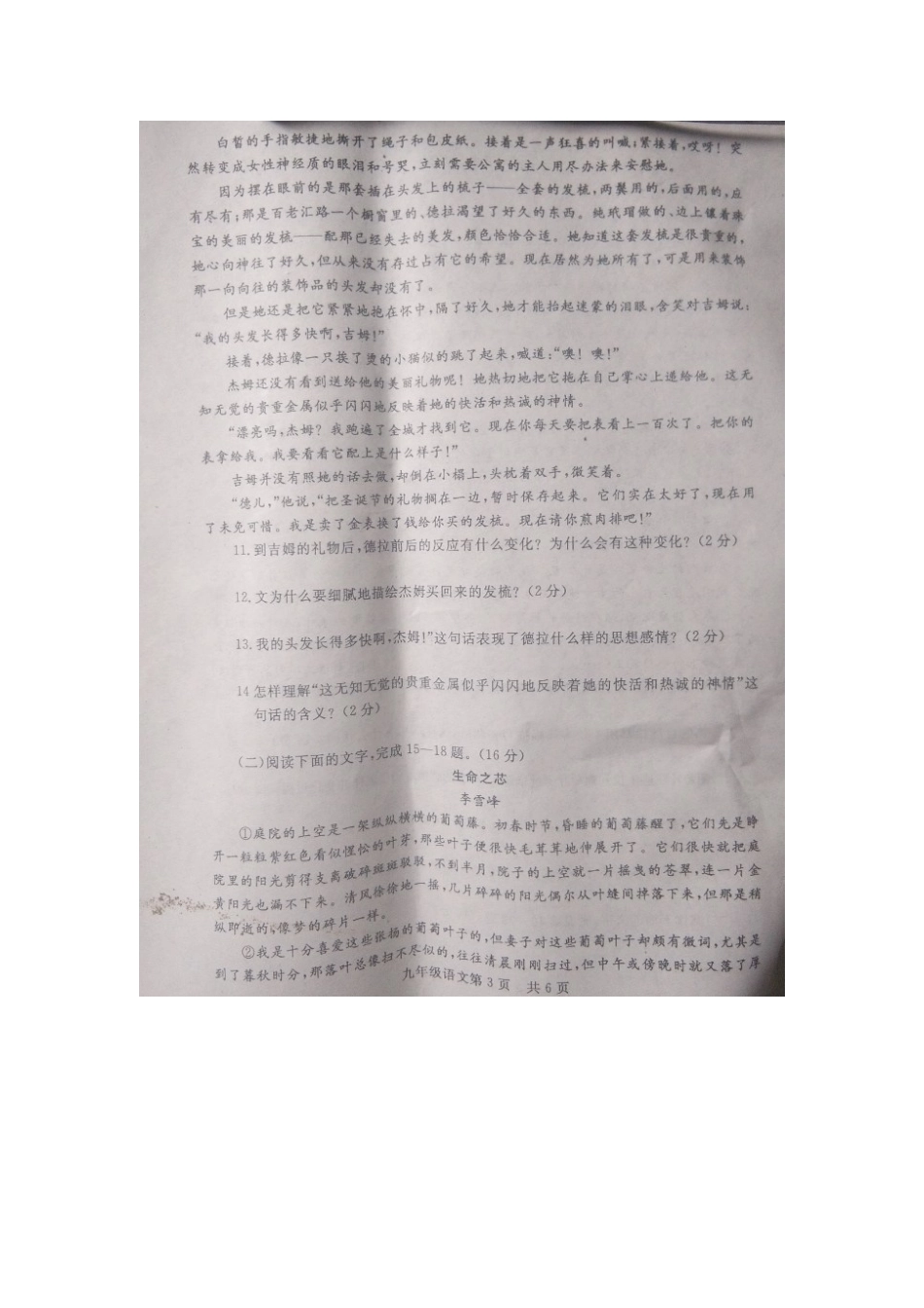 山东省菏泽市东明县九年级语文上学期期末试卷北师大版试卷_第3页