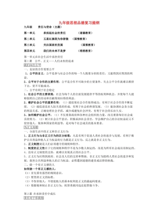 九年级政治 复习提纲 鲁教版试卷