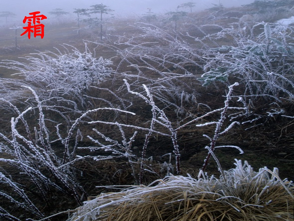 《识字三》ppt课件_第2页