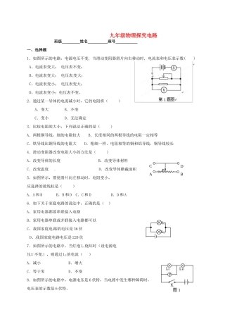 九年级物理 探究电路试卷 人教新课标版试卷