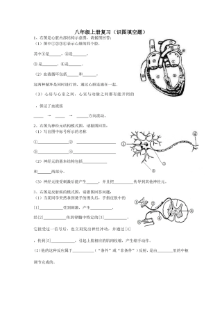 八年级上册复习(识图)