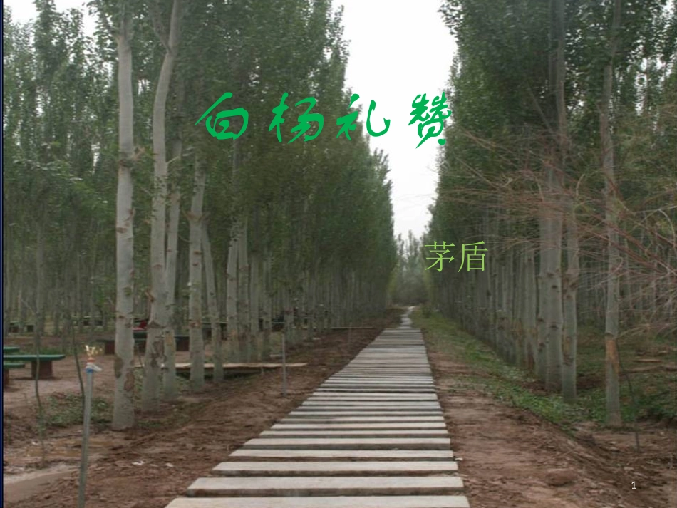 《白杨礼赞》讲课用2014、2_第1页
