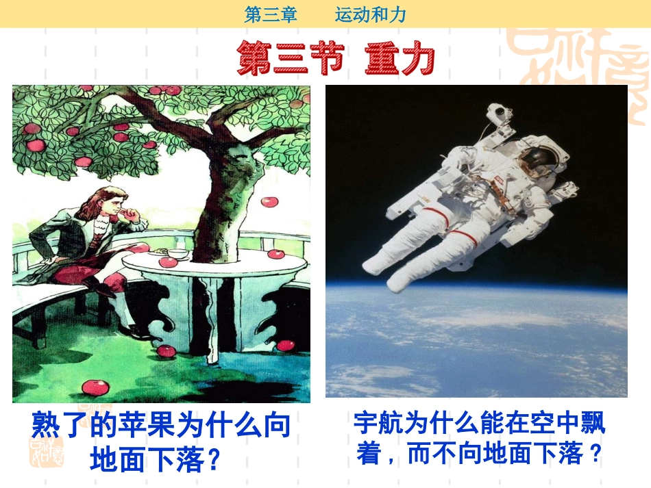 《第3节--重力》课件1_第1页