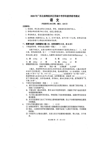 中考语文学科素养联考测试试卷试卷