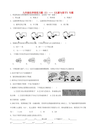 九年级化学培优试卷(五)试卷