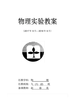 九年级物理分组试验教学案
