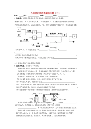 九年级化学培优测练专题(二) 新人教版试卷