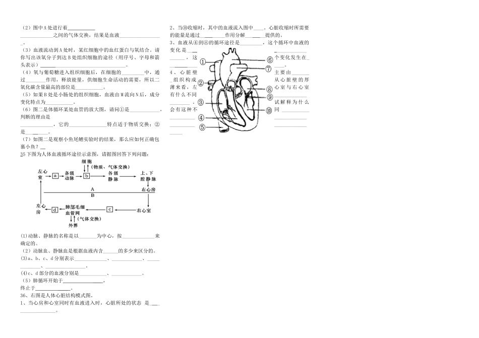 山东省临沂六中七年级生物下册 第四章 人体内物质的运输复习题 新人教版试卷_第3页