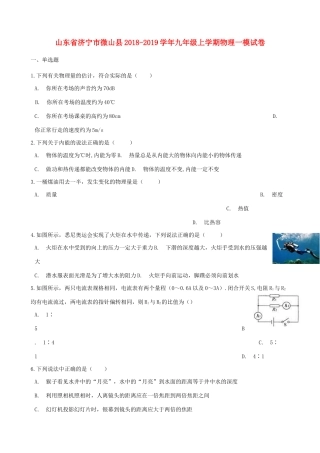 九年级物理上学期一模试卷试卷