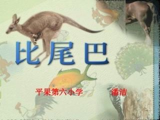 第十课比尾巴