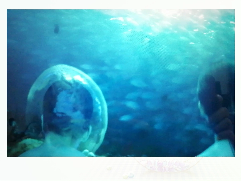 第1节水中的动物_第2页