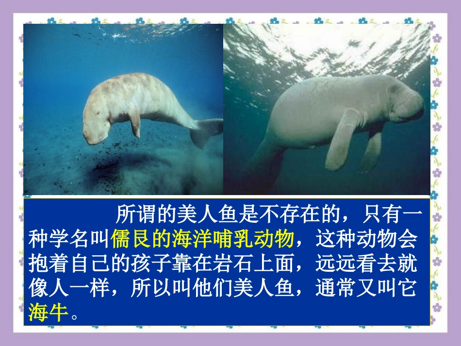 第1节水中的动物_第3页