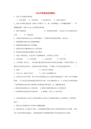 九年级政治全册 第七课 第二框 走共同富裕的道路习题1 新人教版试卷