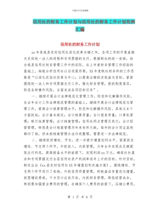 信用社的财务工作计划与信用社的财务工作计划范例汇编