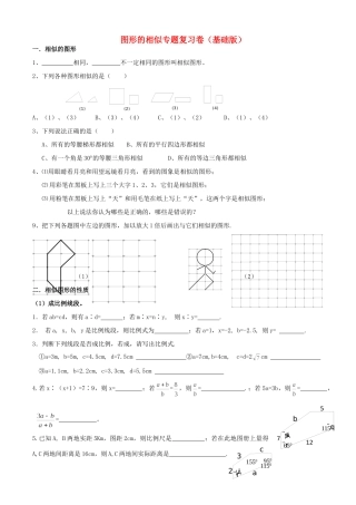 九年级数学上册 图形的相似专题复习卷 上科版试卷