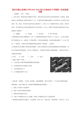 九年级政治下学期第一阶段检测试卷试卷