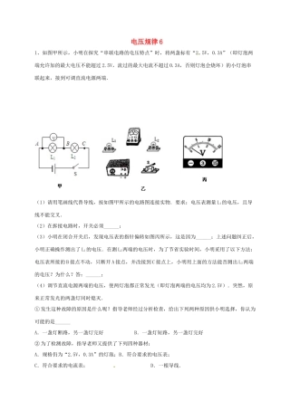 吉林省吉林市中考物理综合复习 电压规律7 新人教版试卷
