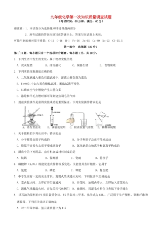 九年级化学下学期第一次知识质量调查试卷试卷